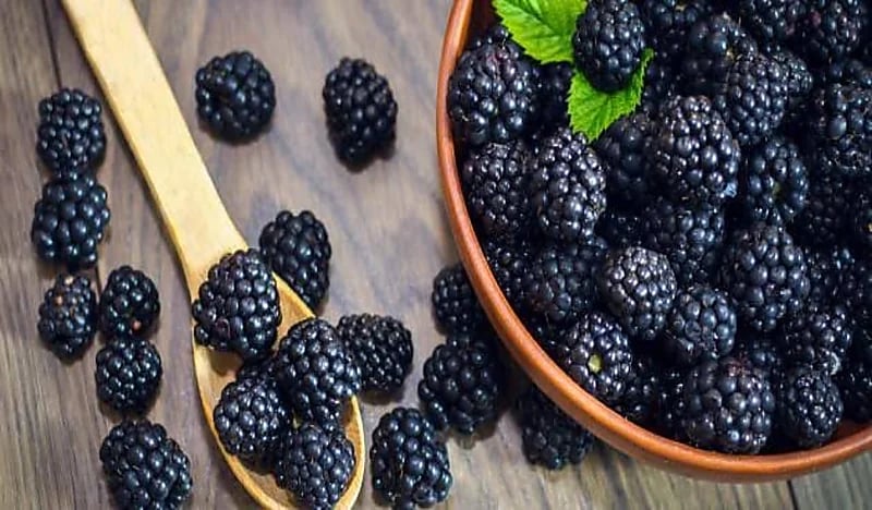 5 فوائد صحية مذهلة لتناول التوت أبرزها الحماية من أمراض القلب