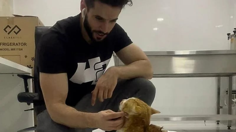 بالصور.. شاب سعودي ينقذ القطط في 7 مدن شرق المملكة