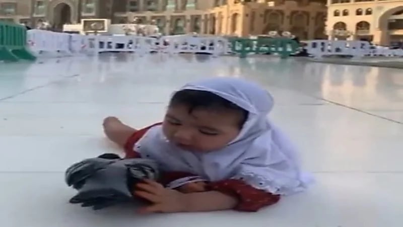 شاهد.. طفلة تمسك حمامة في ساحة الحرم بمكة 