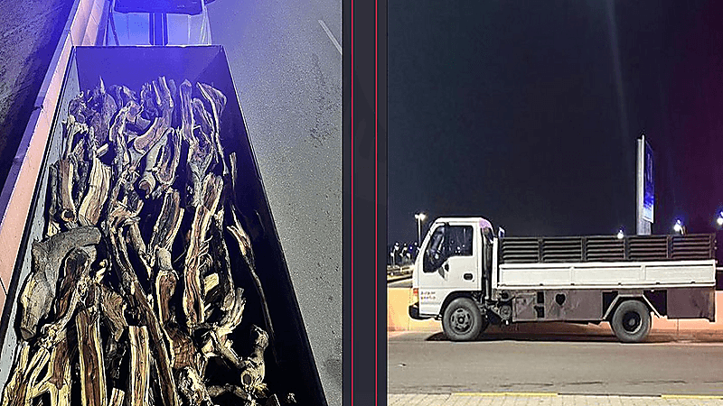 ضبط مخالفا بحوزته حطب محلي معروض للبيع في القصيم.. فيديو