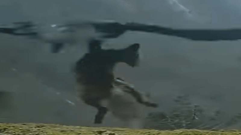 شاهد.. نسر ينتشل ذئبا ضخم ويطير به في أجواء عاصفة