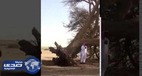 " الإعلام " تستدعي " العلويط " بعد مقاله عن الأضحية