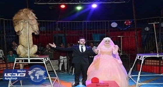 أغرب حفل خطوبة داخل قفص أسود سيرك