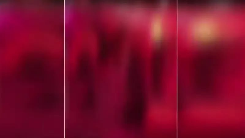 بالفيديو .. الجهات المختصة تتحرك لضبط ناشري مقاطع فيديو خادشة للحياء لحفل ضم مشاهير