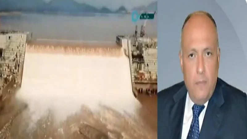 وزير الخارجية المصري: نسعى إلى اتفاق قانوني ملزم حول ملء وتشغيل سد النهضة "فيديو"