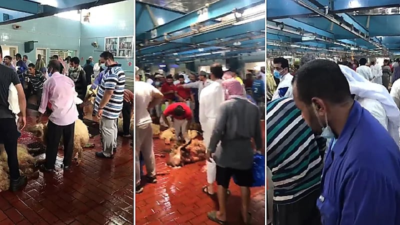 بالفيديو .. فوضى في أحد مسالخ الكويت ومواطن يتسأل :"أين الجهات المعنية"