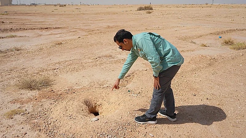 بالصور.. الحياة الفطرية: نقل كائنات برية إلى مركز إيواء