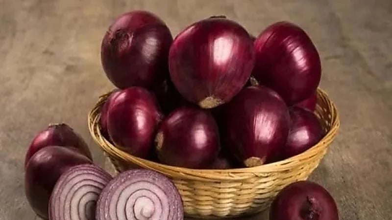 إيطاليا.. استخدام البصل الأحمر في صناعة الحلوى والآيس كريم