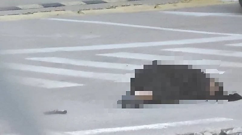 إسرائيل تقتل فلسطينية بزعم محاولتها إطلاق نار على جنودها (فيديو)