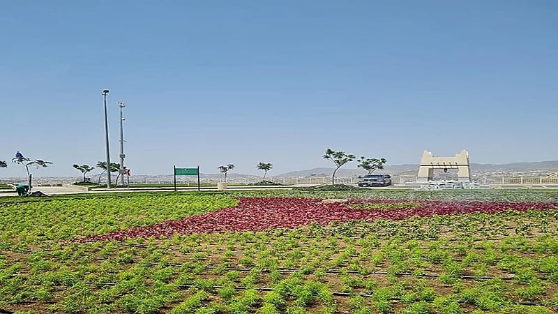 تجهيز 104 ممشى وحديقة لاستقبال سياح وأهالي أبها.. صور