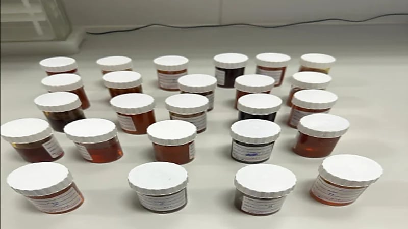 391عيّنة من الأغذية المختلفة استقبلها مختبر سلامة الأغذية بعسير