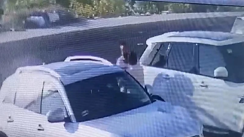 ضرب طبيب لبناني مشهور على طريق عام .. فيديو