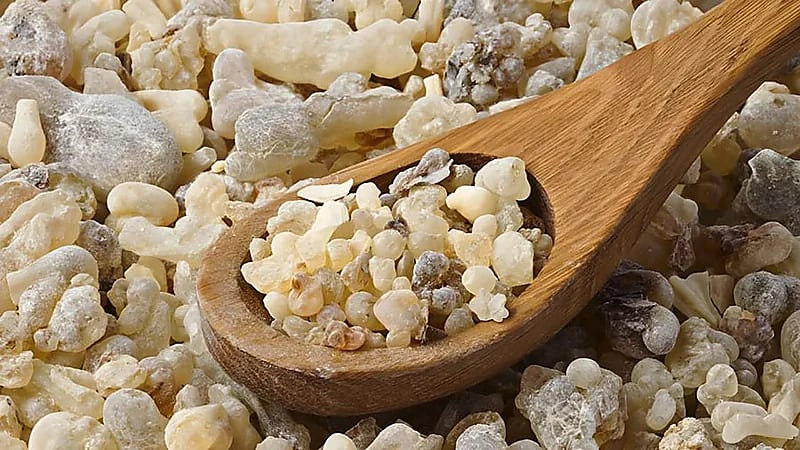 فوائد اللبان المر باعتباره كورتيزون طبيعي