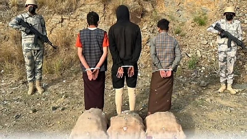 القبض على  3 مخالفين حاولوا  تهريب 81 كجم من  القات