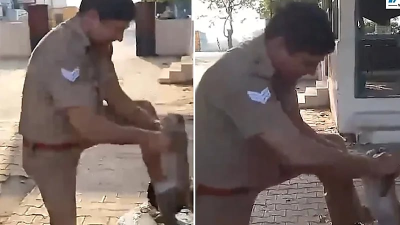 شرطي يجري إنعاش قلبي رئوي لقرد تعرض للإغماء .. فيديو