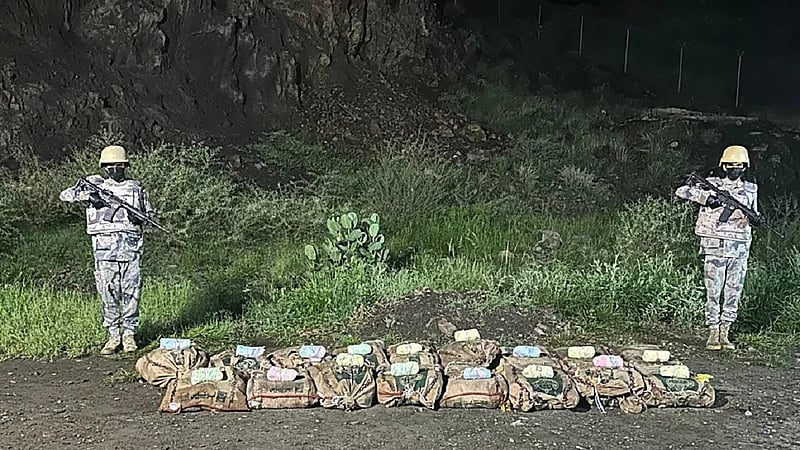 إحباط تهريب 340 كيلوجرامًا من القات بجازان