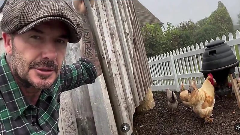 "ديفيد بيكهام" يوثق حياته اليومية في المزرعة بعد اعتزاله