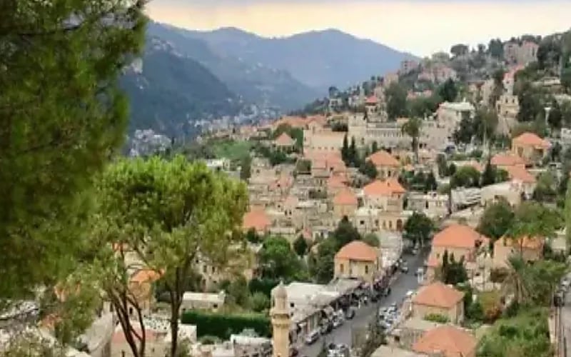 العثور على طفل سوري مربوط في غابة "بعقلين".. فيديو