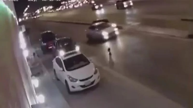 طفل صغير يتسبب في حادث انقلاب مركبة ومطالبات بتكريم السائق.. فيديو