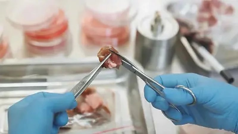 لحوم الدجاج المزروع مخبرياً يقترب من الأسواق