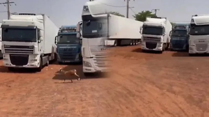 غموض يحيط بمصير سائقين مغاربة موقوفين في مالي ودعوات لإنقاذهم