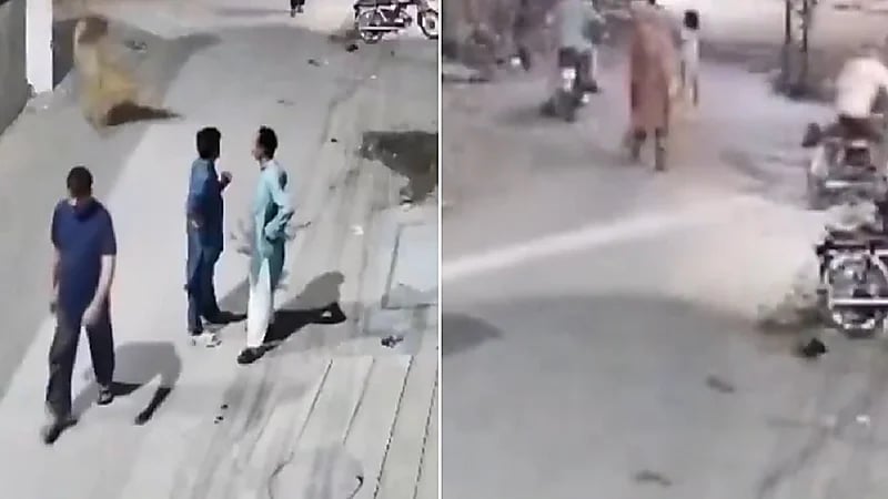 أسد يهاجم أم وطفلة في باكستان .. فيديو