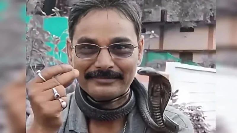 وفاة هندي لدغته كوبرا لفها على عنقه بطريقة مأساوية