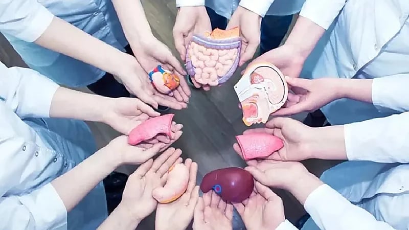 WhatsApp Image 2025-09-25 at 5.37.26 PM.jpeg