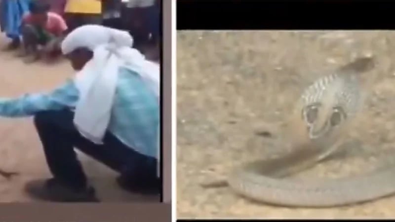 WhatsApp Image 2025-09-26 at 8.14.08 PM.jpeg