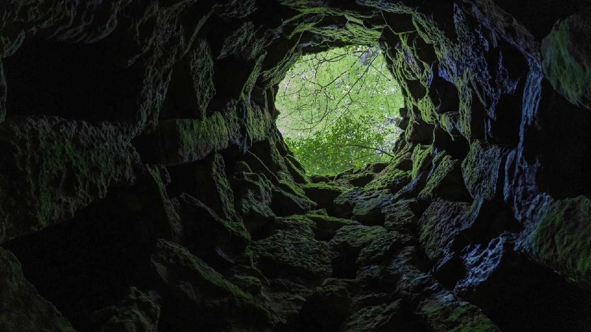 شابة مفقودة يعثر عليها رعاة أغنام جثة ببئر.. فيديو