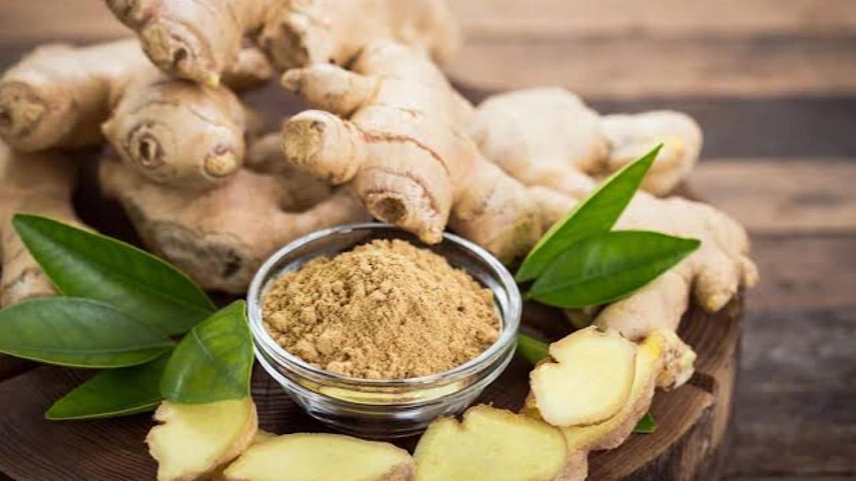 WhatsApp Image 2025-11-07 at 12.39.08 PM.jpeg