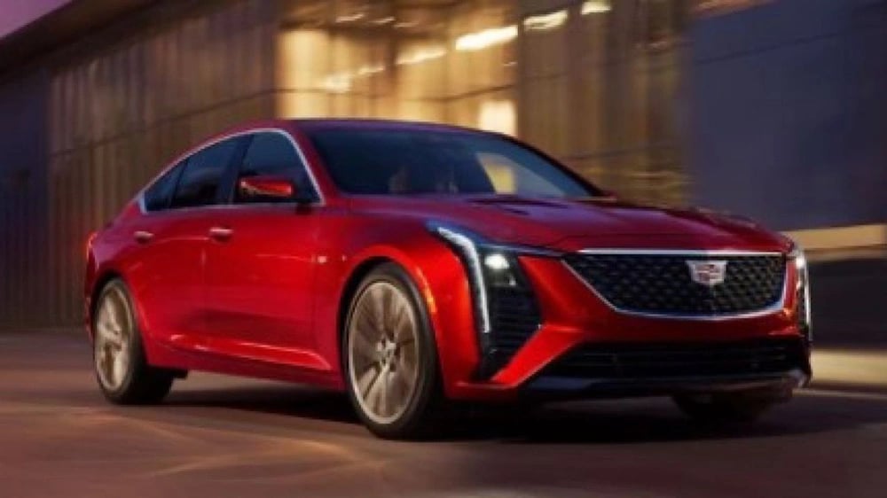 WhatsApp Image 2025-11-13 at 6.34.47 PM.jpeg