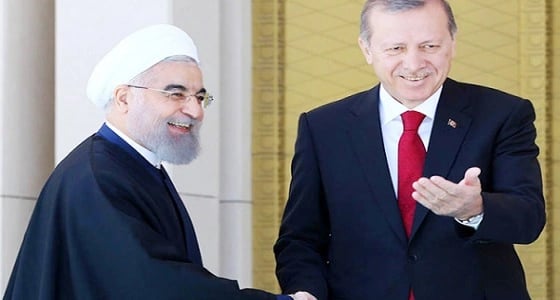 تركيا تتجاهل ثورة الشعب الإيراني وتعلن دعمها لـ " نظام الملالي "