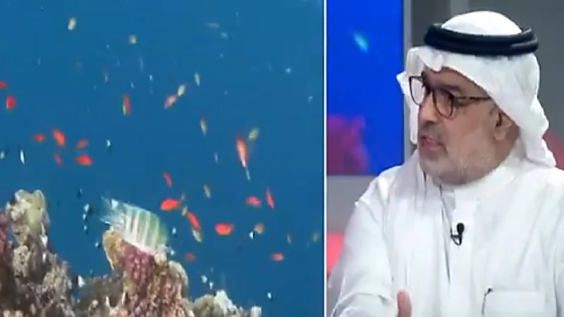 الحياة الفطرية: قريبًا سنرى في الشوارع لوحات خاصة بعبور النعام والظباء (فيديو)