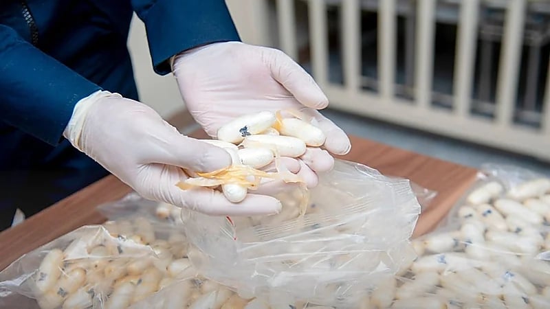 إحباط محاولة تهريب 3 كيلوجرام الكوكايين مخبأة داخل أحشاء مسافرين بجدة