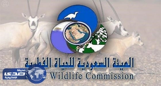 الهيئة السعودية للحياة الفطرية تعلن عن وظائف جوالين محميات