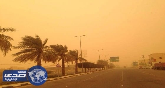 الأرصاد: استمرار هطول أمطار غزيرة مصحوبة برياح تحد من الرؤية على عدة مناطق