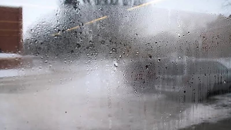 المسند يوضح: هذه هي النسبة المثلى لرطوبة الهواء داخل المنازل صيفًا