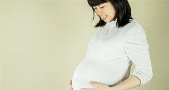 طالبة جامعية تدعي الحمل لتهريب جرو على الطائرة