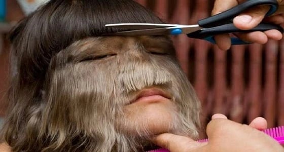 بالفيديو.. فتاة الذئب تتزوج وتحلق شعر وجهها