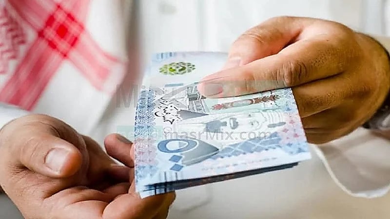 بالفيديو .. "قانوني" يحدد حالات الإبلاغ التي يصرف فيها مكافآت تشجيعية