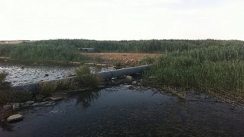 بالفيديو .. أستاذ الكيمياء : بحيرة الصرف الصحي تهدد أهالي القريات بالأوبئة ومرض الملاريا