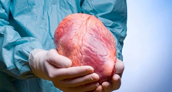 المملكة تحارب تجارة زراعة الأعضاء وتدرج 80 شخصًا على القائمة السوداء