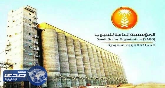 رفع نسبة المستفيدين من منتجات الدقيق في مكة والمدينة‎