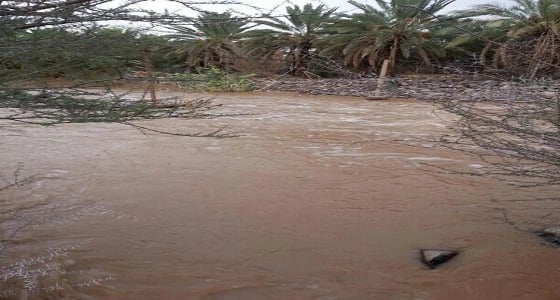 احتجاز 6 أشخاص داخل سيل بمحافظة المهد