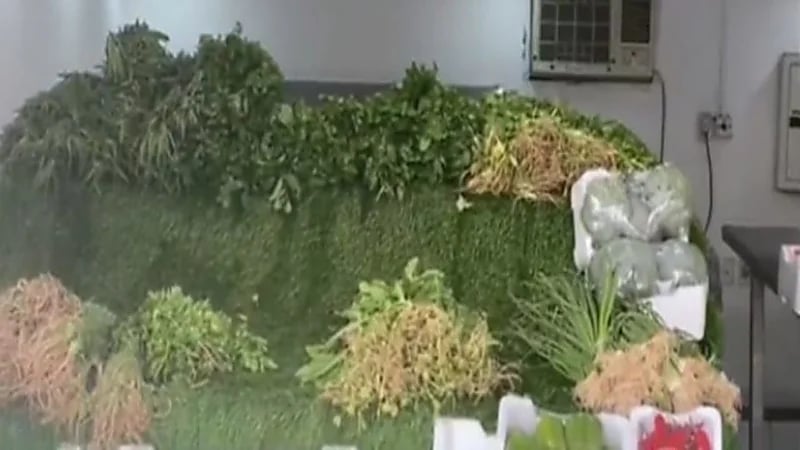 ارتفاع أسعار الخضار إلى الضعف في سوق الدمام المركزي خلال رمضان "فيديو"