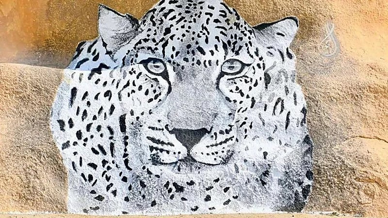 قصة نمر عربي انتشرت صورته خلال الأيام الماضية