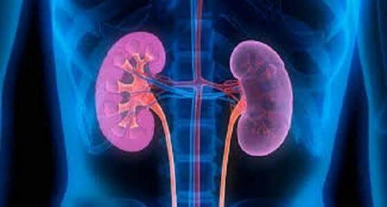 7 عادات يومية تدمر الكلى