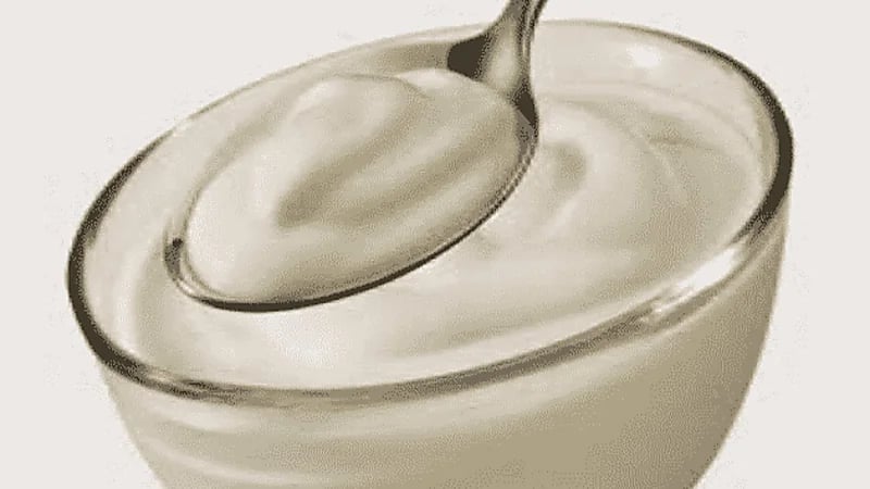 "الذيابي": الأجبان السائلة غير صحية بسبب مكوناتها