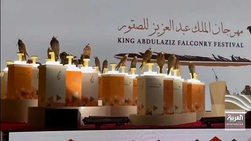 بالفيديو.. معايير اختيار "مزاين" الصقور